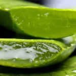 Aloe Vera im Test