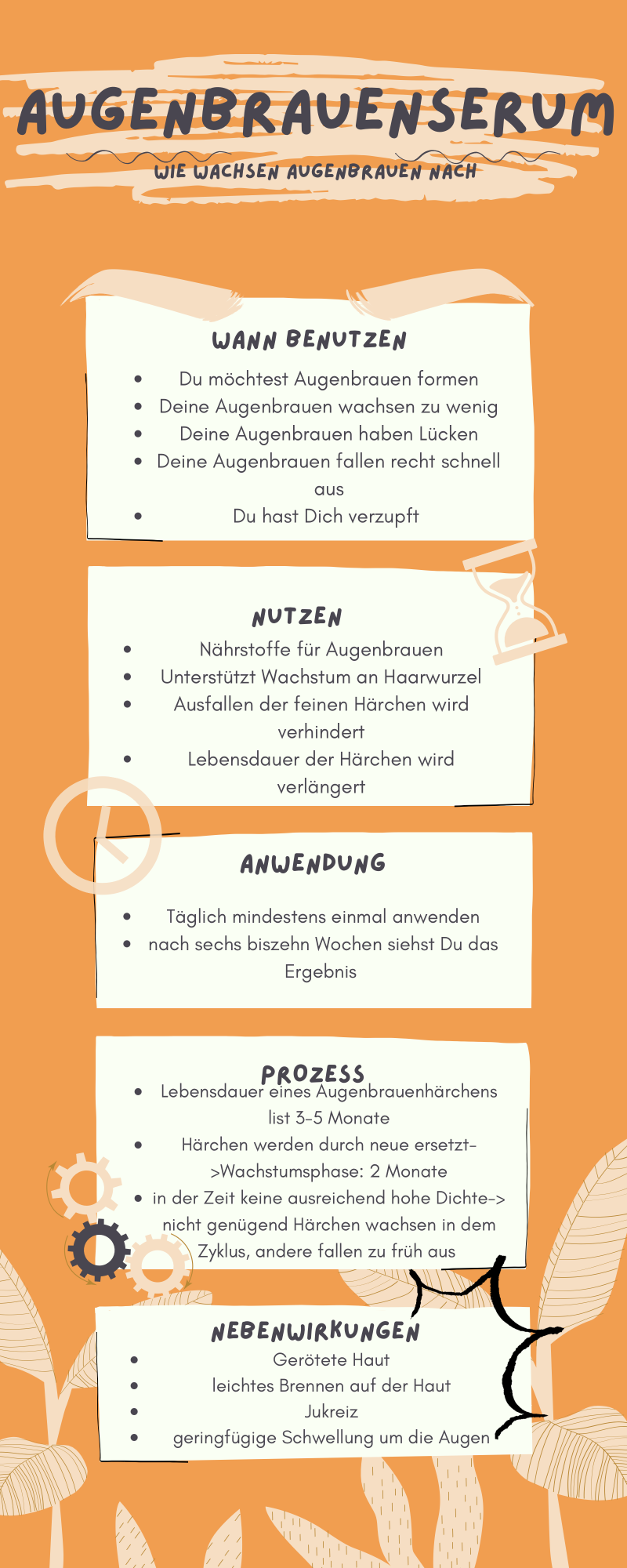 Infografik Augenbrauenserum