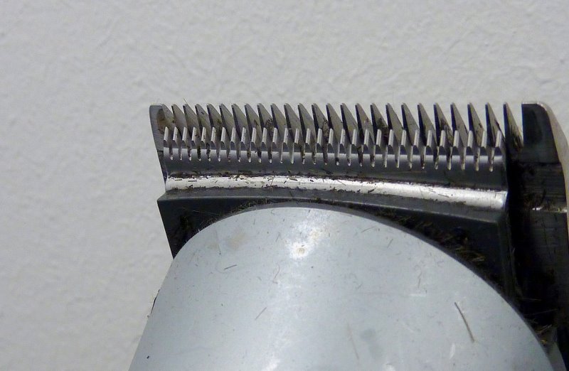 Schneidekopf eines Bartschneiders