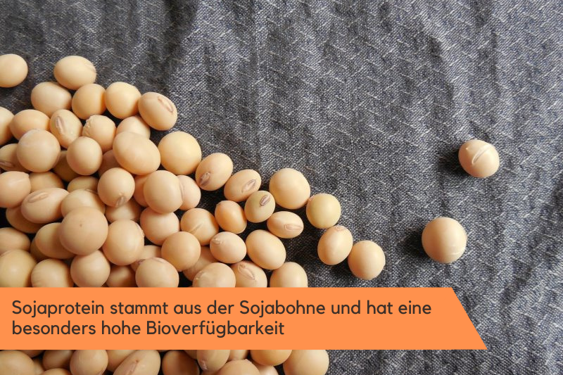 Sojaprotein aus der Sojabohne