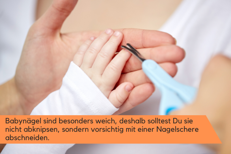 mit Nagelschere werden die Nägel eines Baby abgeschnitten
