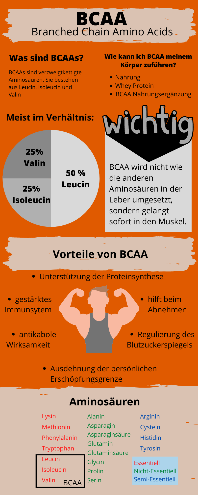 Infografik zu BCAA