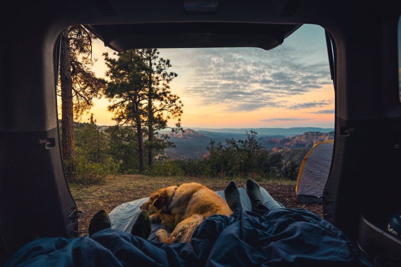 Campingbett beim Outdoor-Abenteuer mit Hund