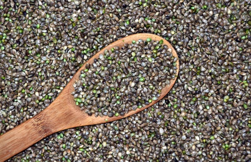Geschmack von Hanfprotein Aufgehäufte Hanfsamen