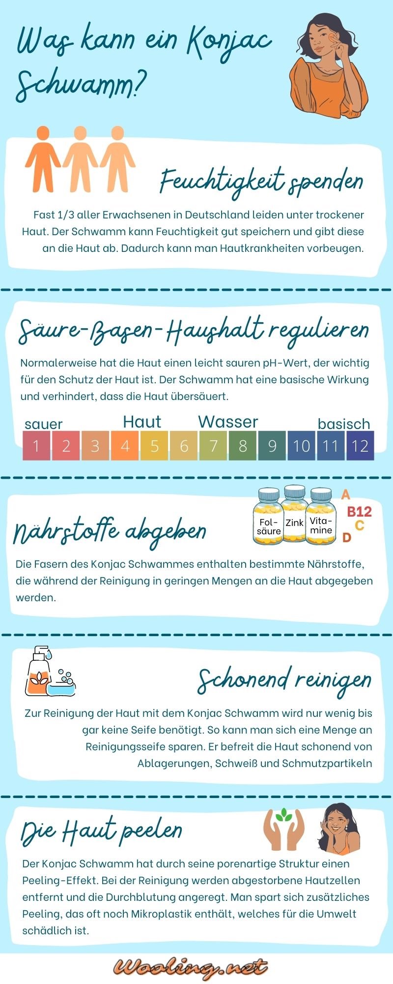 Infografik Konjac Schwamm