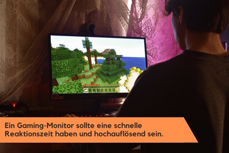 Videospiel auf einem PC-Monitor