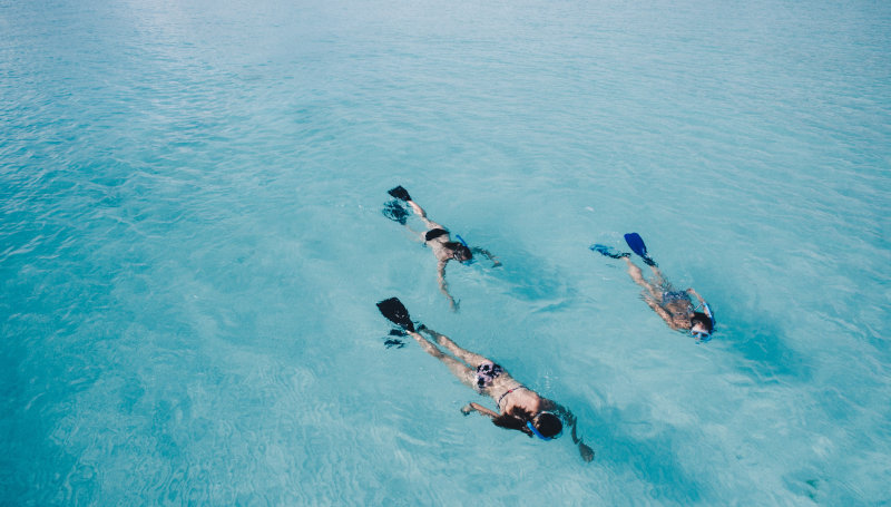 Drei Schwimmer mit Schnorchelflossen Drei Schwimmer schnorcheln im Meer mit Schnorchelflossen