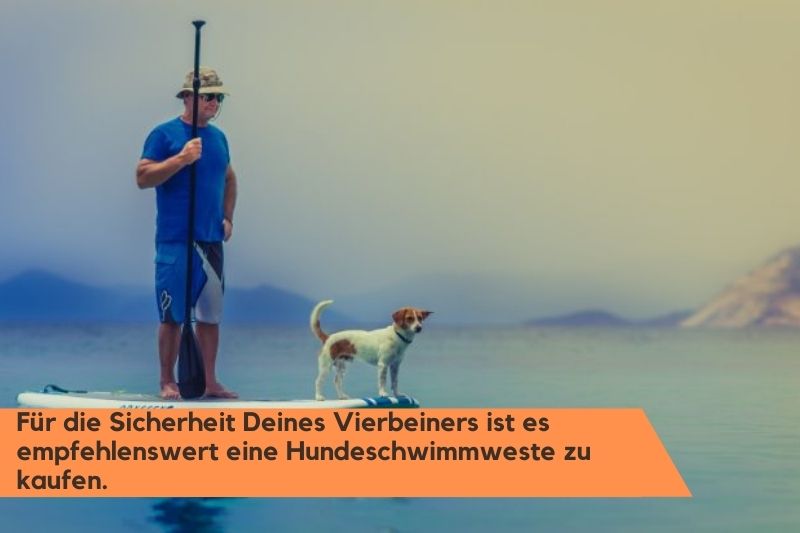 SUP-Paddle ein Mann mit Hund auf einen Board
